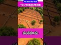 ✅ AP CRDA-Approved Layouts🏡 Premium Open Plots in Kankipadu📞 Call Now: +91 90524 75678