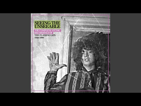 【激レア】FLAMING LIPS 1994年ライブポスター オリジナル 激レア】FLAMING LIPS 1994年ライブポスター オリジナル
