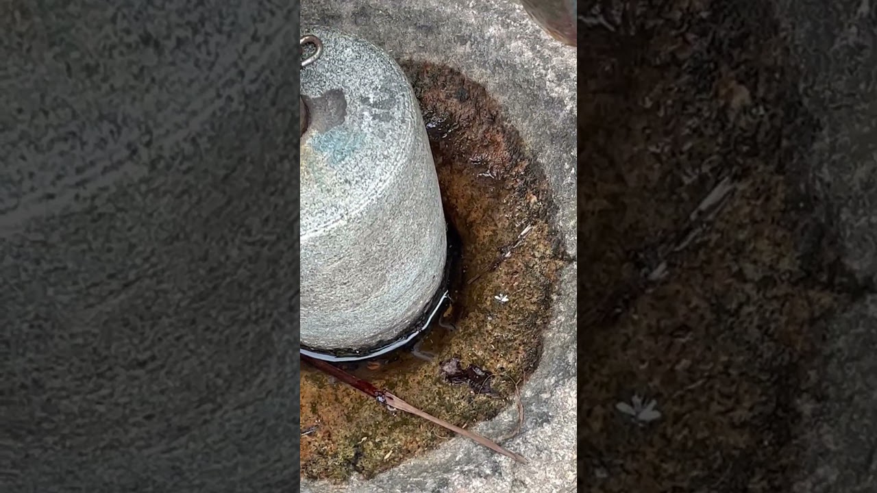 Mosquito breeding site! Dangerous site!