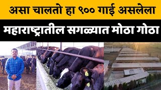 सावंत डेअरी फार्म ची यशोगाथा| biggest dairy farm in maharashtra | dairy farm success story