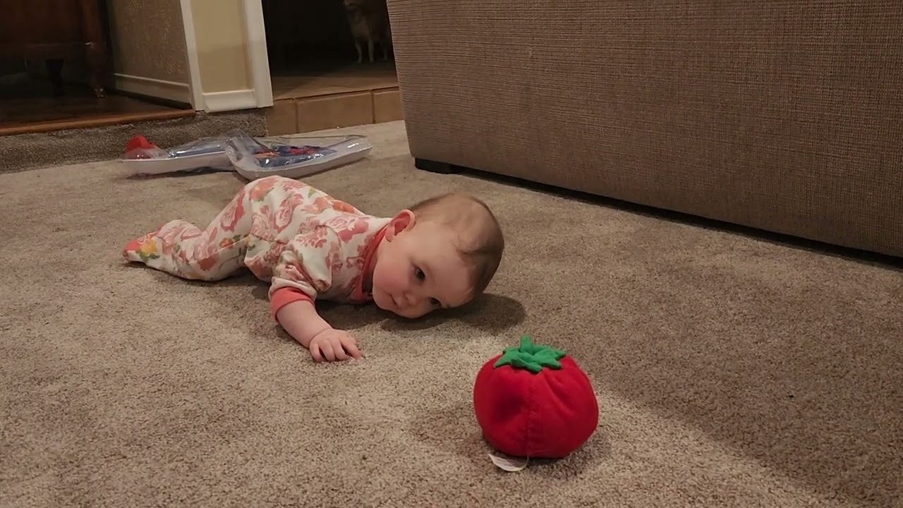 baby crawling for the first time