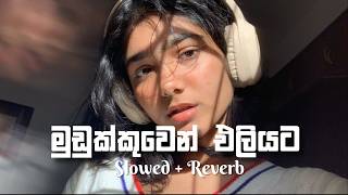 Mudukkuwen Eliyata - Smokio  මුඩුක්කුවෙන් එලියට - Slowed   Reverb