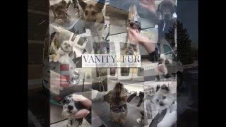 Vanity Fur Mobile Pet Spa and Grooming