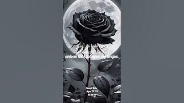 سوره #الحشر #قران_كريم #قرآن_و_زندگی