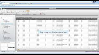 Hovitaga Data Visualizer - a BI tool for SAP screenshot 2