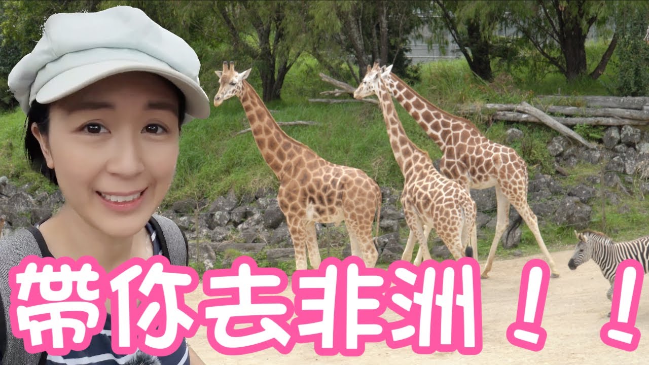 【4K】同你喺奧克蘭遊「非洲」?! Auckland Zoo尋找奇異鳥 🤔Vlog 18
