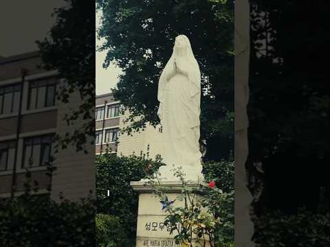 Miracl Saint Mary ኦርቶዶክስ ተዋሕዶ Abelbirhanu ኦርቶዶክስ ተዋሕዶ Habesha Ethiopianathlete ኦርቶዶክስ Eotc