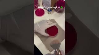 #youtube #chemistry #laboratory #lab #youtubeshorts #shortvideo #shorts #viral #viralvideo #المختبر