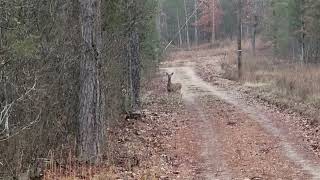 Missouri hunting lease now available on HLRBO!