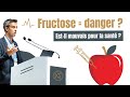 Le fructose bon ou mauvais sucre 