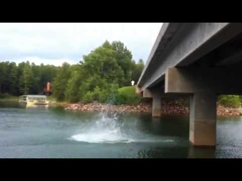 Backflip off a bridge - YouTube
