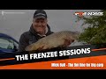 Carp on the short pole with Mick Bull - The 5m Line - The Frenzee Sessions