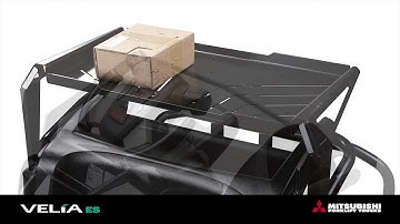 Low Level Order Pickers truck video