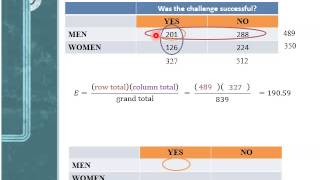11 3 Contingency Table
