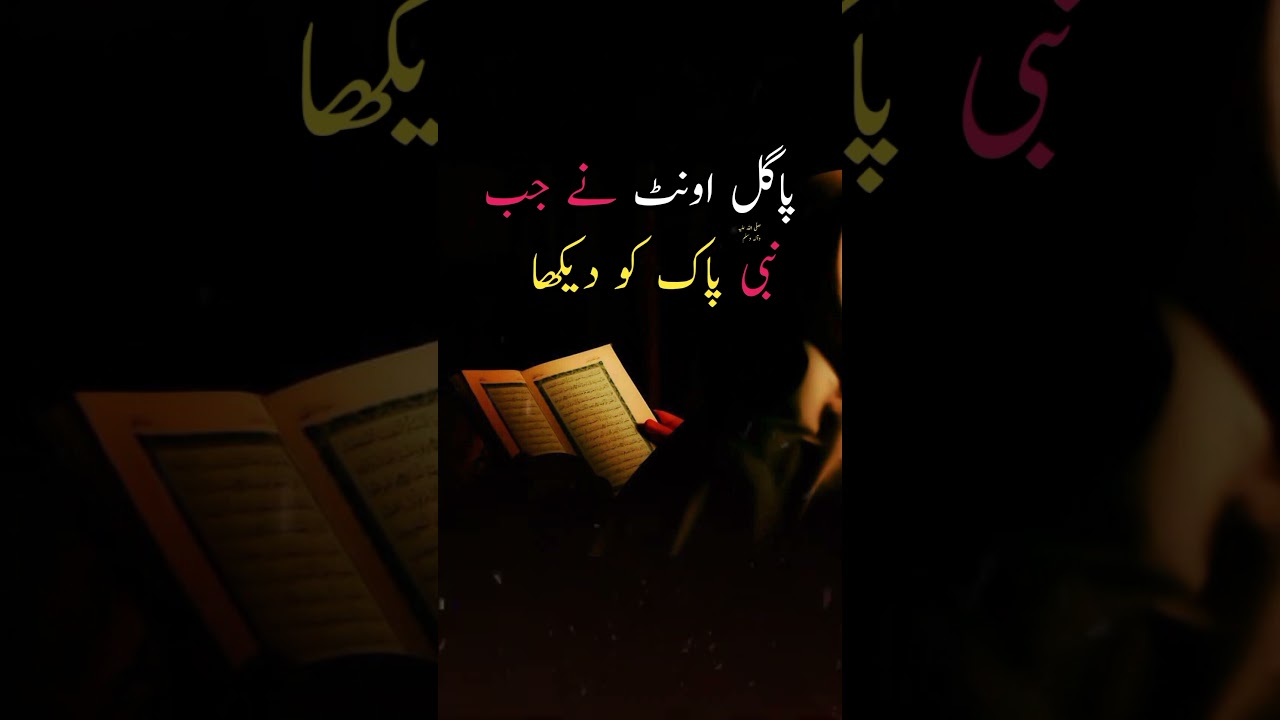 #viralvideo #Allah #viral #islamicstatus #ajmalrazaqadri #islamic #bayan #shortfeed  #maa #religion