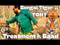 Tony rockstar ka treatment hua ab thk ha  bengal tiger  shero ka badshah