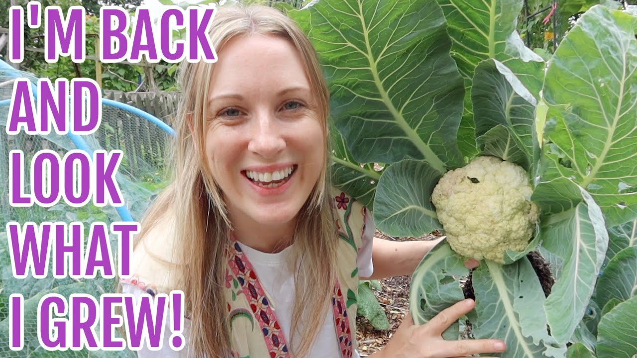 I'M BACK AND LOOK WHAT I GREW! / ALLOTMENT GARDENING FOR BEGINNERS