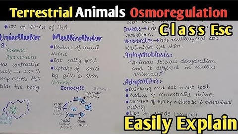 Osmoregulation In Terrestrial Environment Explain In Urdu Hindi | Class 12 Biology