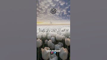 #قران_كريم #quran #تلاوات #سورة_الشورى #تلاوات_خاشعة #القارئ #الشيخ #محمد #عبدالباسط #الهاشمي