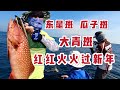 红斑前来贺新春，东星斑红瓜子争先恐后上船来，鱼多随便钓