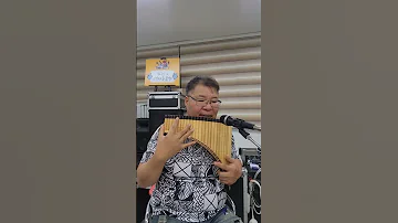 청바지아가씨 Panflute Cover 조이엔터테이먼트 조이킴 조이킴과팬플룻프렌즈 김오종 박상민 