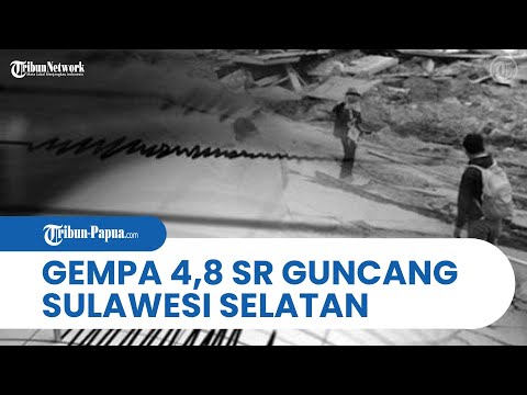 Gempa Bumi 4,8 SR Guncang Wilayah Sulawesi Selatan, Lokasi Pusat Gempa di Luwu Timur