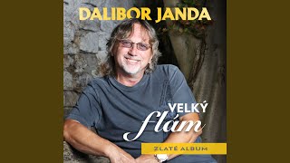 Video thumbnail of "Dalibor Janda - Snad jsem si jí měl všímat víc"