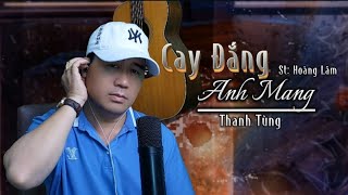 Thanh Tùng Official