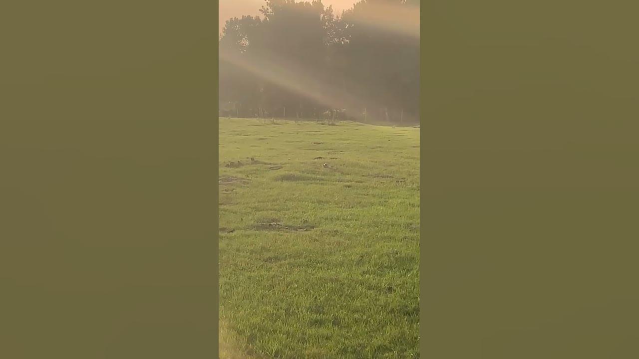 farmers-bow-hunters-explore-hunting-shortvideo-bco-huntlife