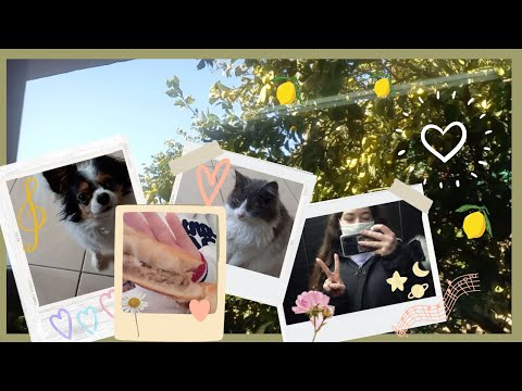 A day in my life ❣ ( January edition xD)