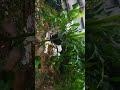 raining  outside **@shreyas