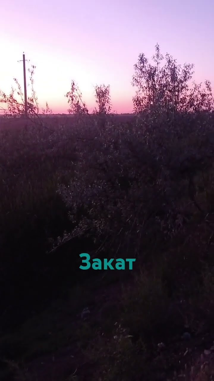 Закат, звуки лягушки #лягушки #лягушонок #лягушка - YouTube