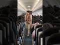 Pramugari Cantik Super Air Jet Hitung Jumlah Penumpang dalam Pesawat 🥰🥰👍👍