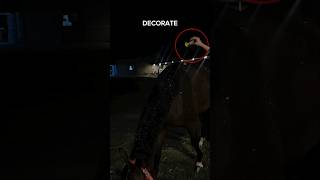 Why Glitter Isn't the Best Choice for Horses #horse #equestrian #goodtoknow