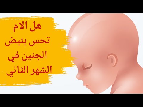 هل الأم تحس بنبض الجنين في الشهر الثاني هل يمكن سماع نبض الجنين باليد