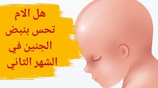 هل الأم تحس بنبض الجنين في الشهر الثاني | هل يمكن سماع نبض الجنين باليد؟