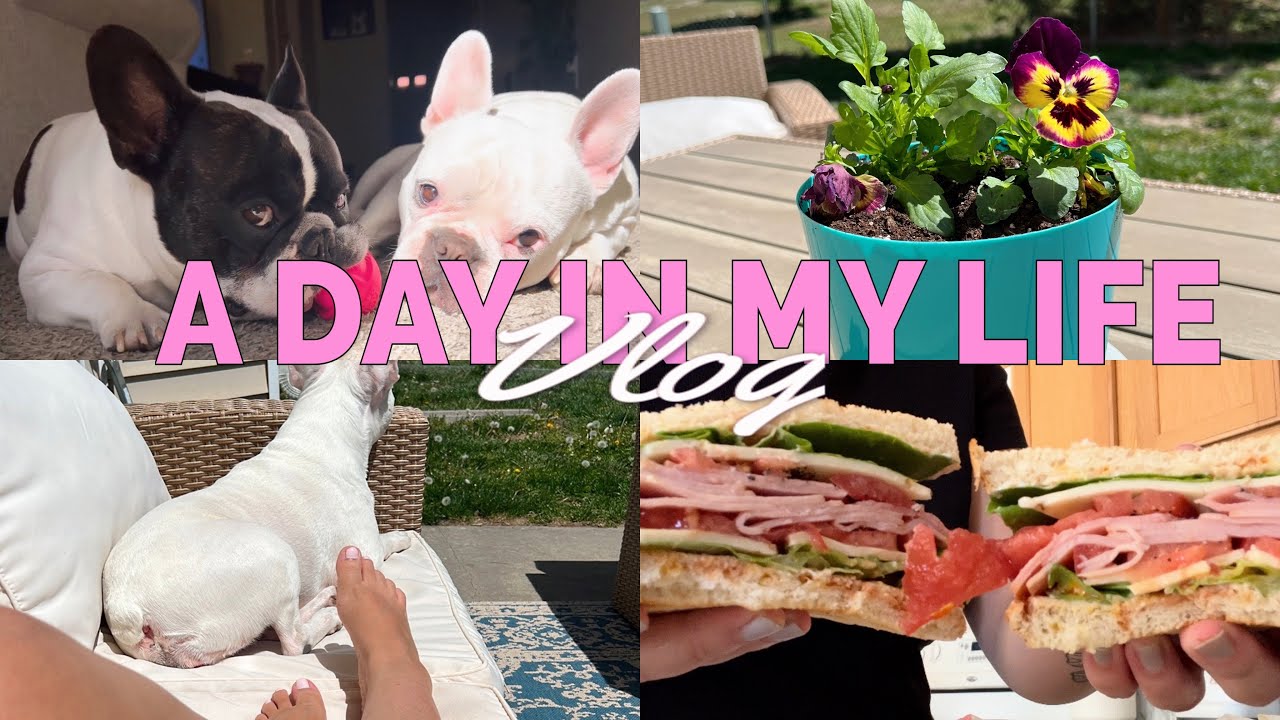 VLOGI Cleaning Day and Getting my Dream Loloi Rug + Making my Fav