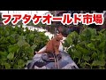 【生Live配信】16:30/14-Jun2026★ぷらぷらっとバンコク🇹🇭「フアタケオールド市場」#bangkok #thailand