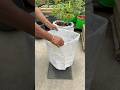 How to make grow bags from used polythene for planting #eggplant #garden #shorts #farming #creative