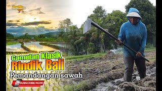 Pemandangan Alam Sawah dan Rindik Bali