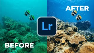 START HERE: Beginner Underwater Photography Editing Lightroom Tutorial screenshot 4