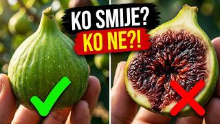 FIGS ARE NOT FOR EVERYONE! Here's WHO CAN EAT THEM, and WHO CAN'T!