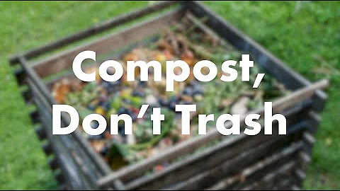 ¿Se puede echar comida enmohecida en el compost?