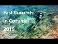 Crazy fast currents in cozumel  scuba diving cozumel september 2019