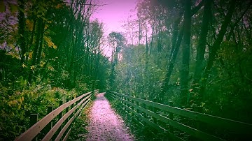 Because I Like This Cloud by Andy Page (Official Video). On the breeze it got distorted.