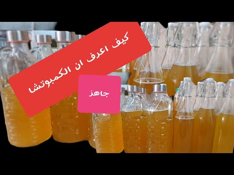 كيف اعرف ان الكمبوتشا جاهز وكيف احتفظ بها لمدة طويلة 2