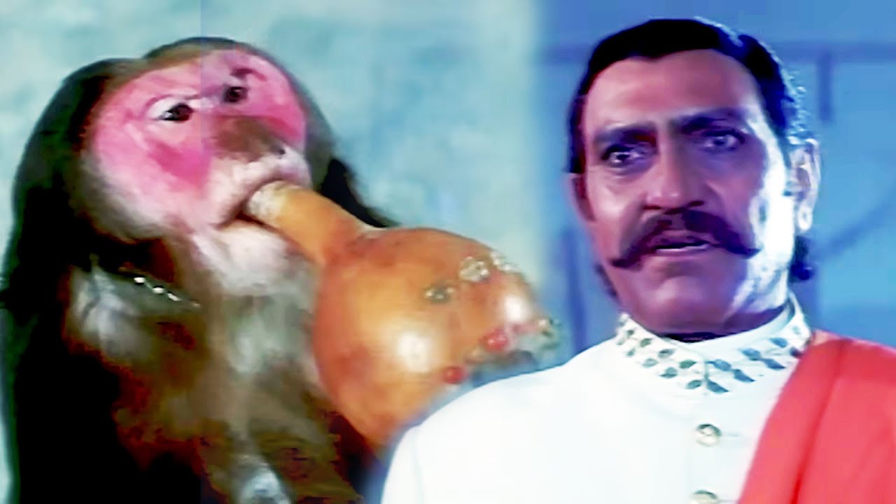 इस बंदर ने नाक में दम करके रखा है : अमरीश पुरी - ज़बरदस्त अंतिम सीन | Amrish Puri