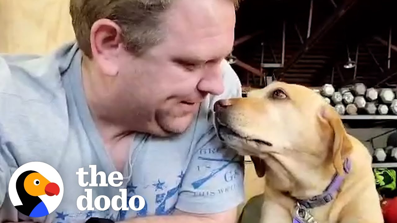 Dog Rescued From Puppy Mill Loves Going To Crossfit With Her Dad | The ...