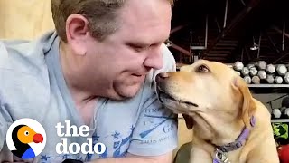 Dog Rescued From Puppy Mill Loves Going To Crossfit With Her Dad | The Dodo