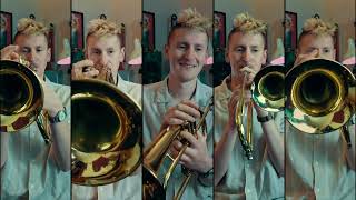 Sting, Eva Cassidy - Fields Of Gold Arranged For Brass Quintet With Sheet Music